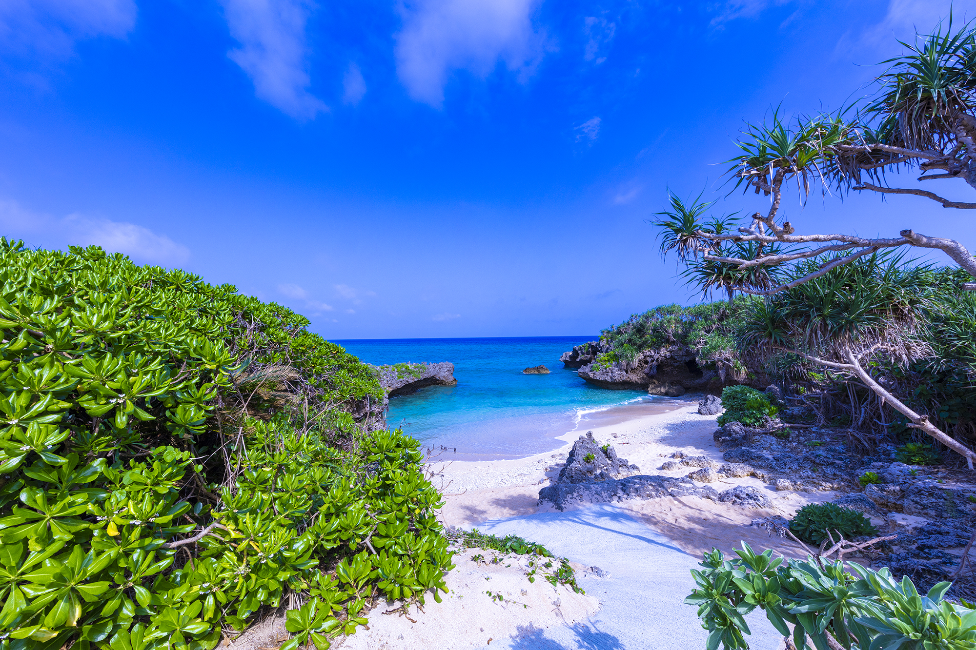 アルバイト・パート ホテル・旅館スタッフ 事務・オフィスワーク 配送・ドライバー ホテル・宿泊業求人イメージ